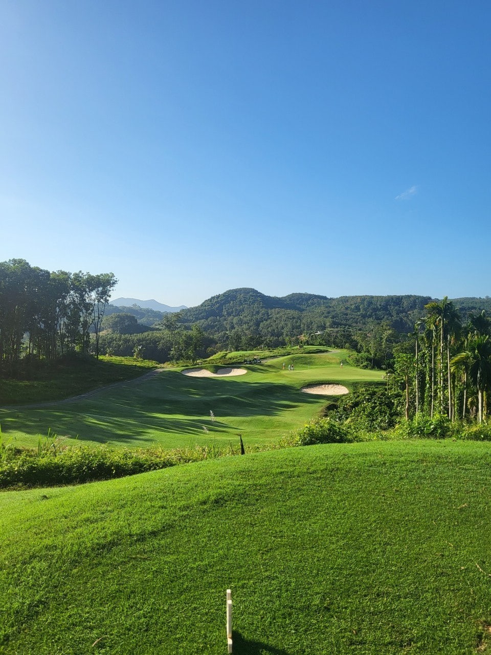 4bb789af435996daadd68764b8f3db1c_1765940