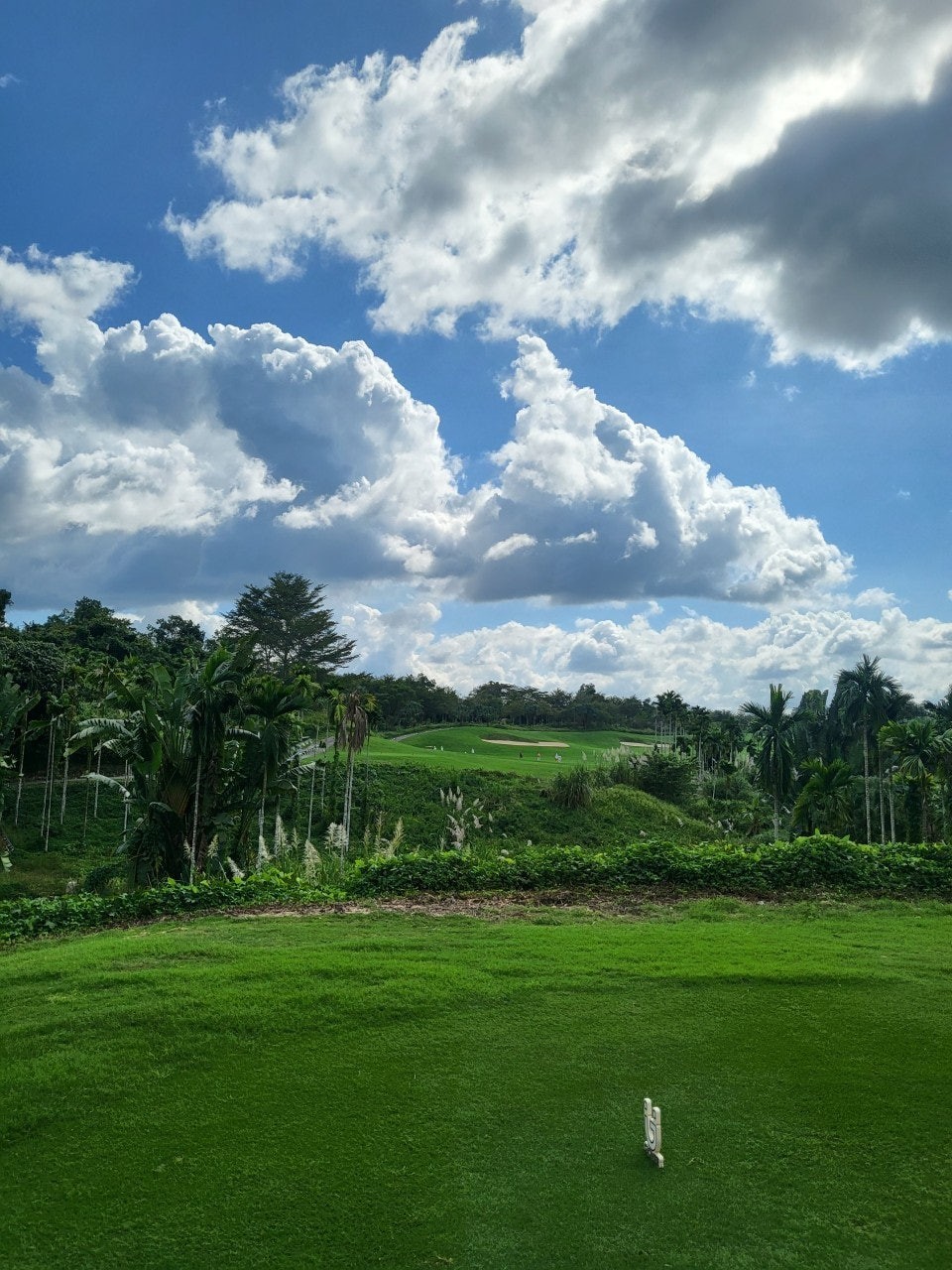 4bb789af435996daadd68764b8f3db1c_1765940