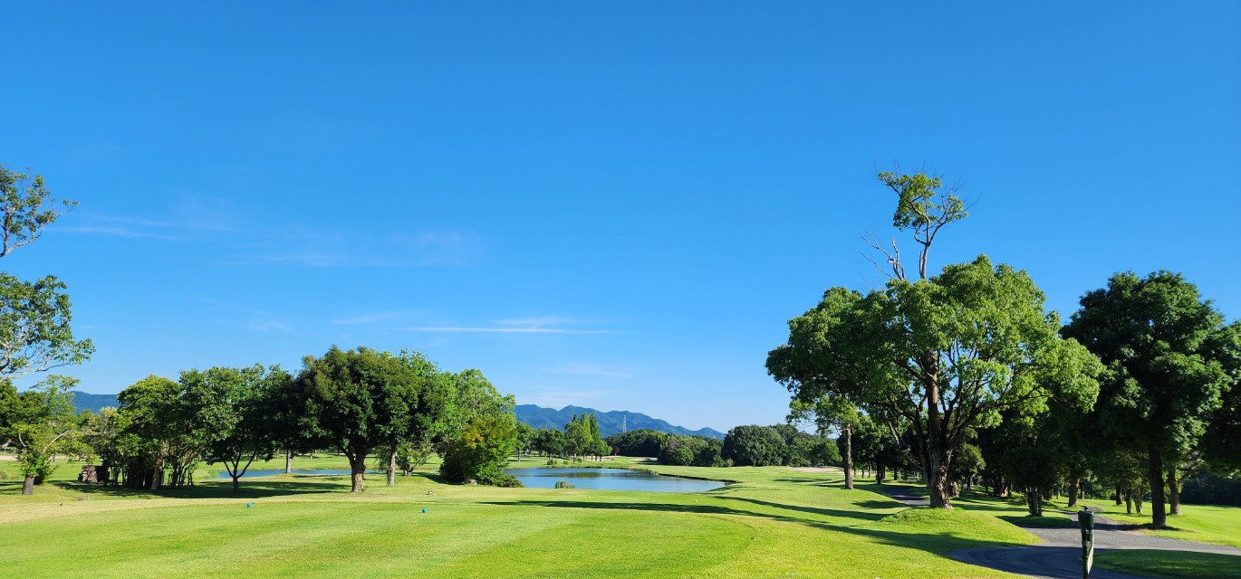 4bb789af435996daadd68764b8f3db1c_1765941