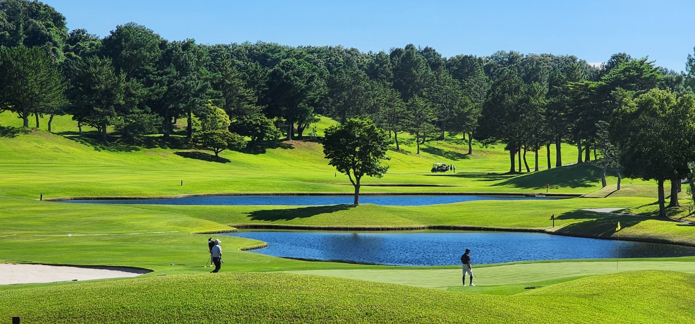 4bb789af435996daadd68764b8f3db1c_1765941