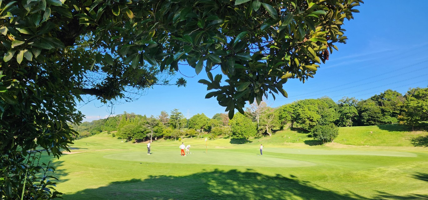 4bb789af435996daadd68764b8f3db1c_1765941