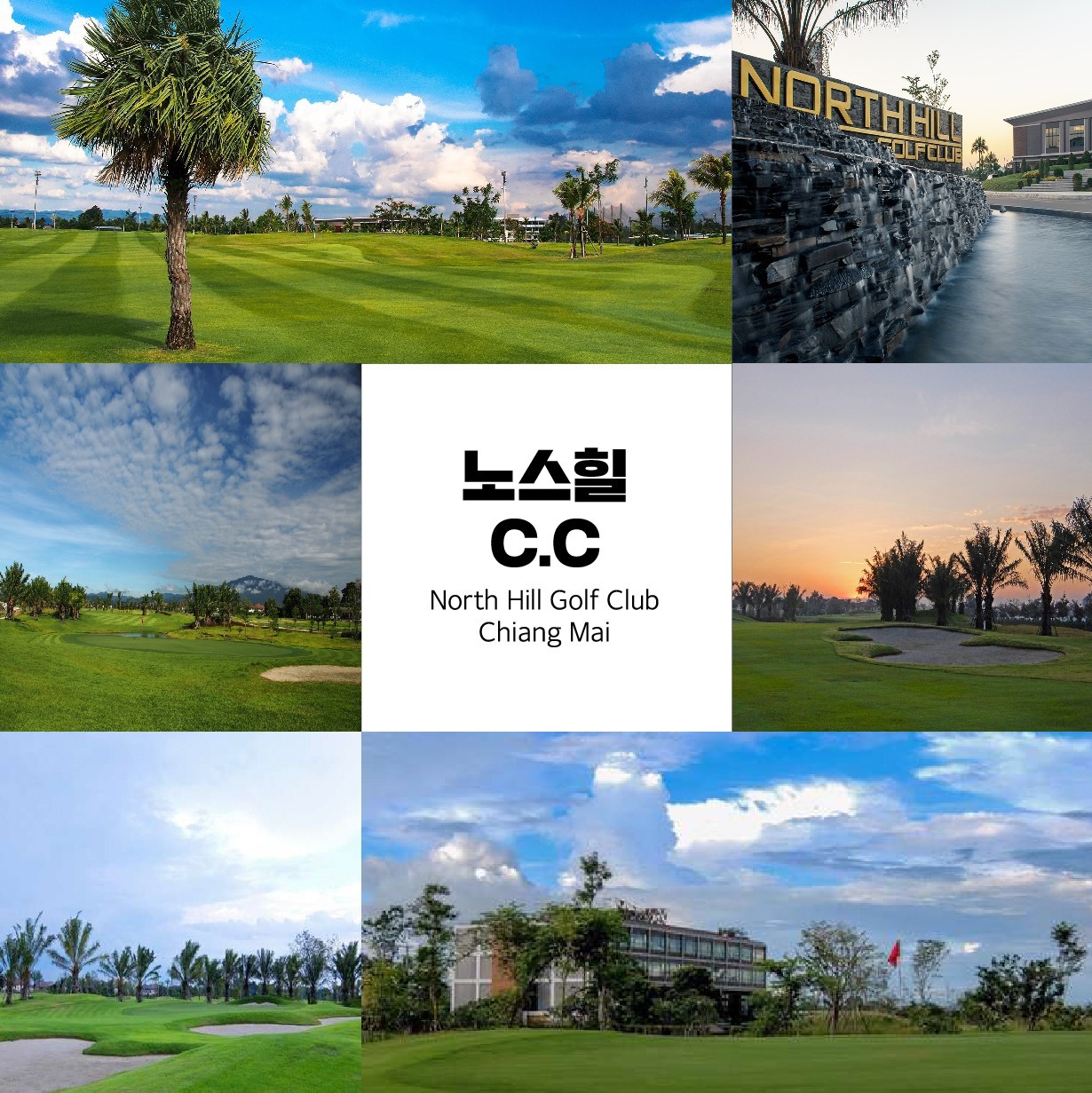 acca1c6bf12c535d16b12d5fbe8ccca0_1765446