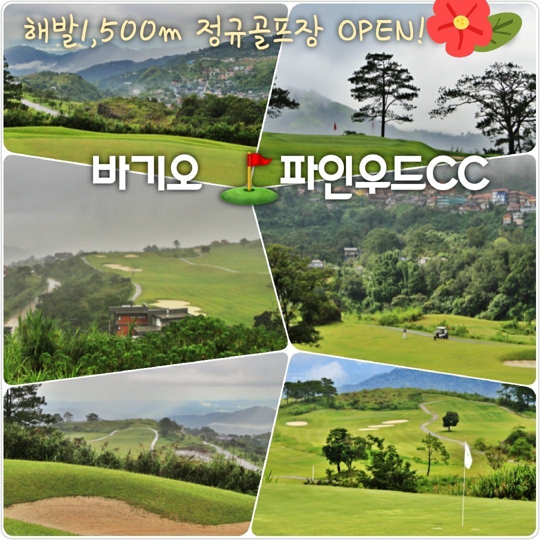 28c98b2adf8f57104d715bae951d3574_1773371