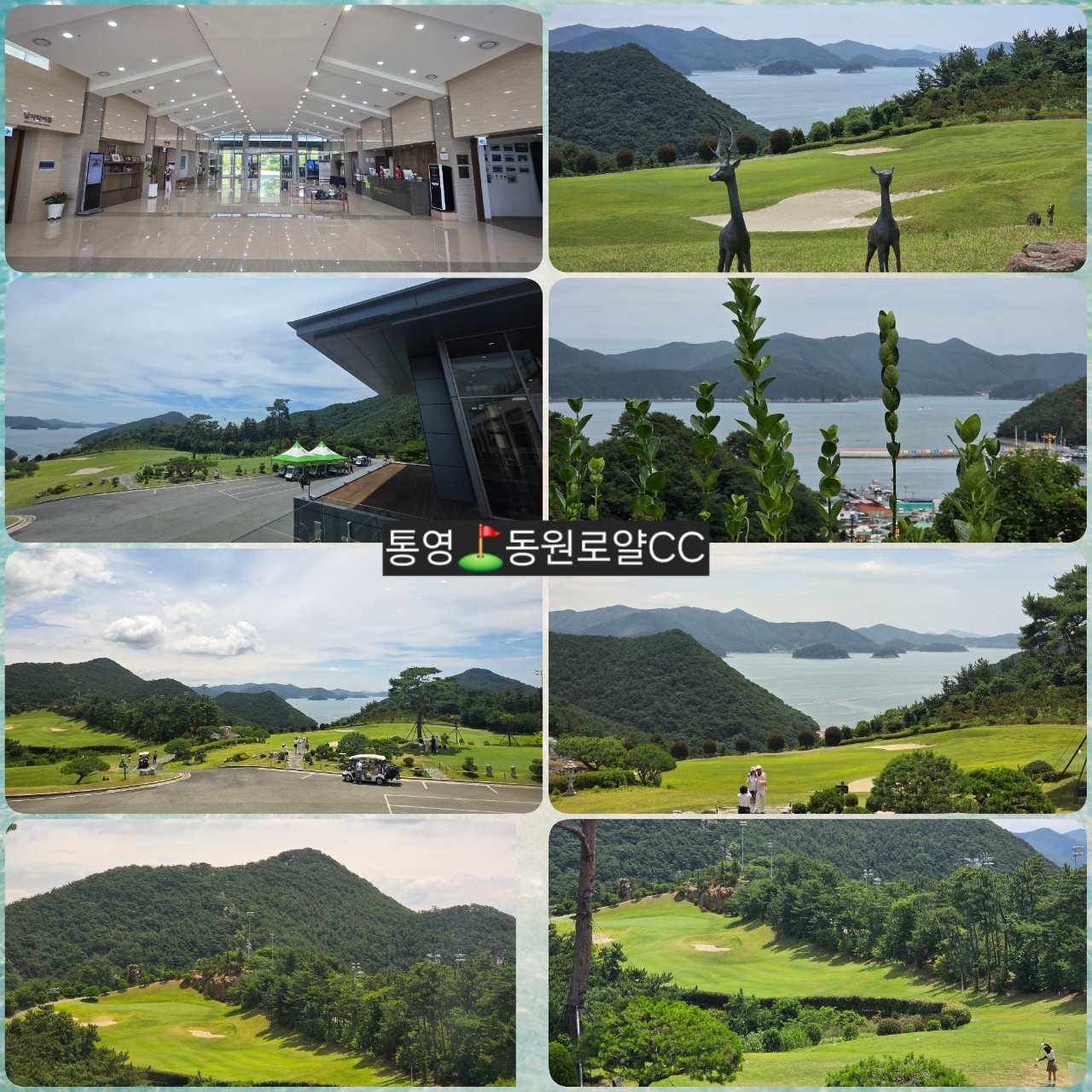 dcc3bc0fc72c62151bbc091d78e2cf9a_1784616