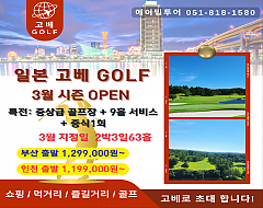고베 시내3색 골프