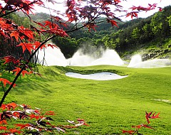 경북 구미c.c