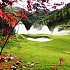 경북 구미c.c