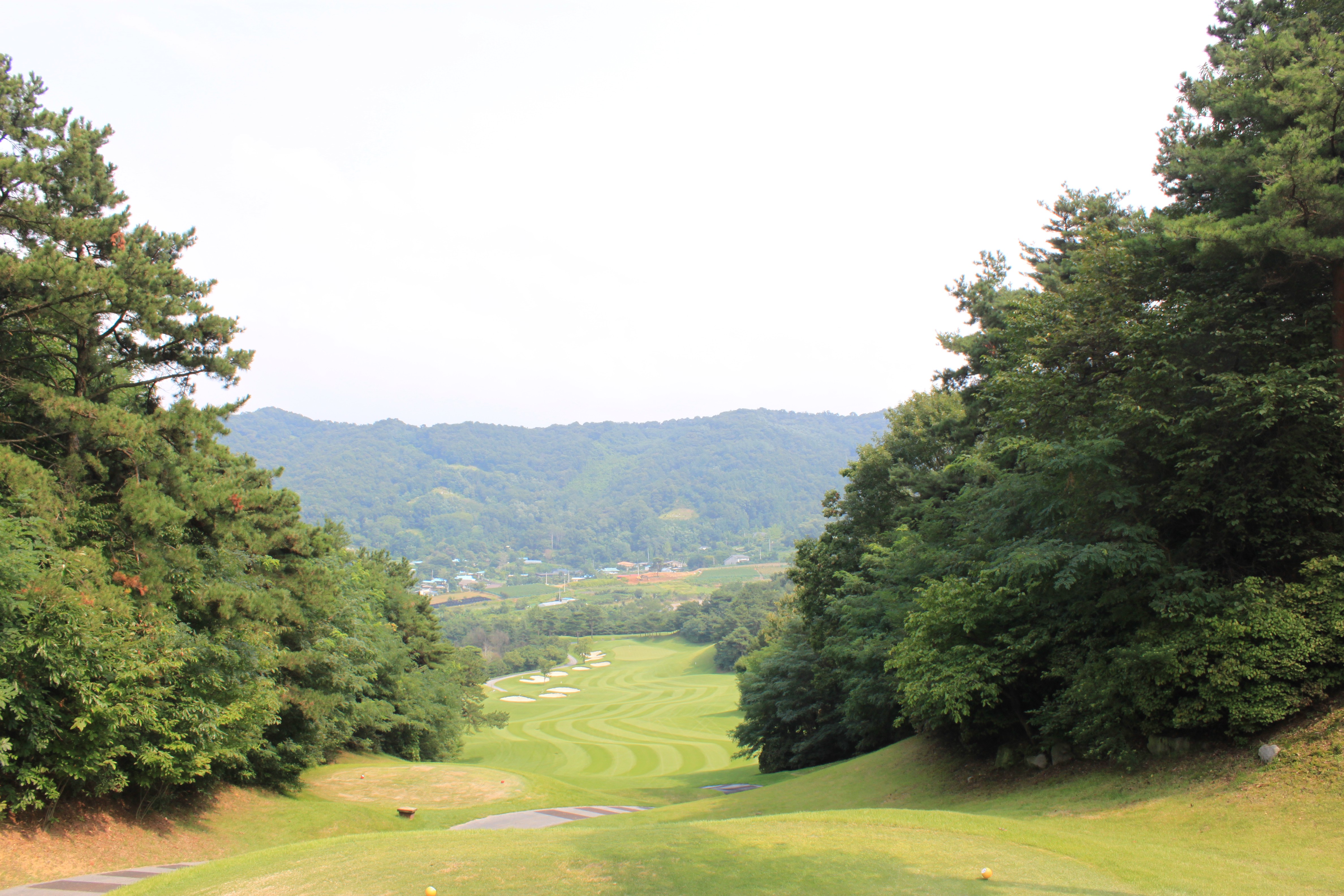 충북 청주 세레니티cc