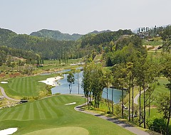 서경 타니cc