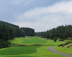 제주 골프 특선 패키지