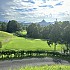 마쓰야마 GOLF
