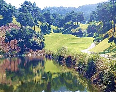 함평+화순권 리무진패키지