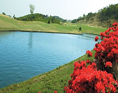 경주 마우나오션c.c