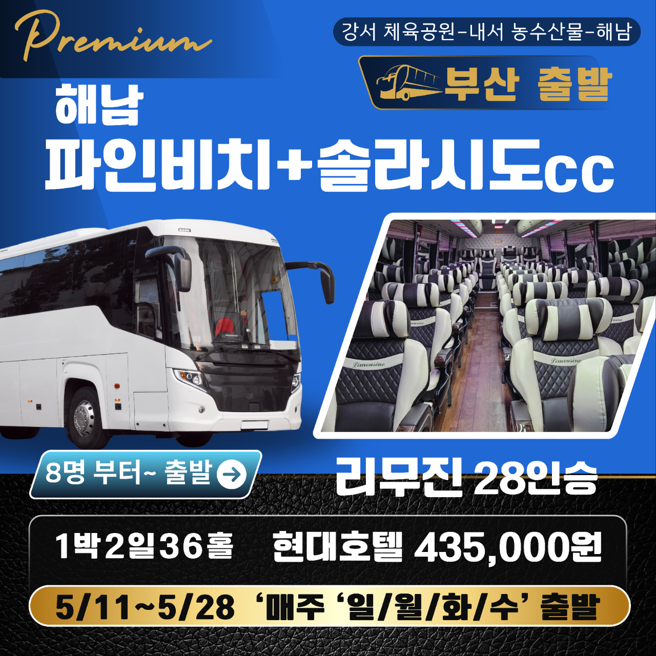 파인비치+솔라시도 리무진