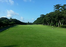 일본 동경'특가'골프