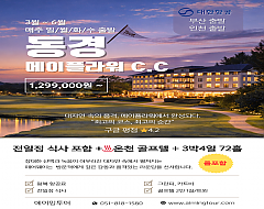 부산/인천]동경 메이플라워