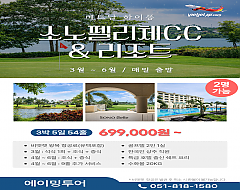 하노이 소노펠리체cc