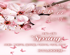 영동 일라이트 c.c