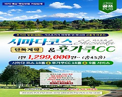 시즈오카 2색 골프