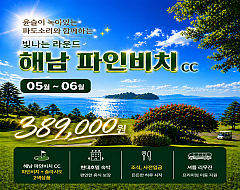 해남 파인비치cc 리무진