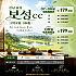 전남 보성cc